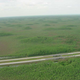 Image for article titled These Incredible Man-Made Highways Are Built Just for Animals